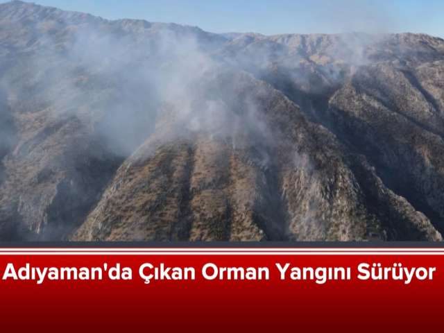 Çıkan Orman Yangını Sürüyor