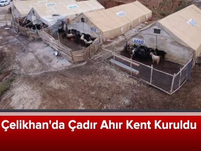 Çelikhan'da Çadır Ahır Kent Kuruldu