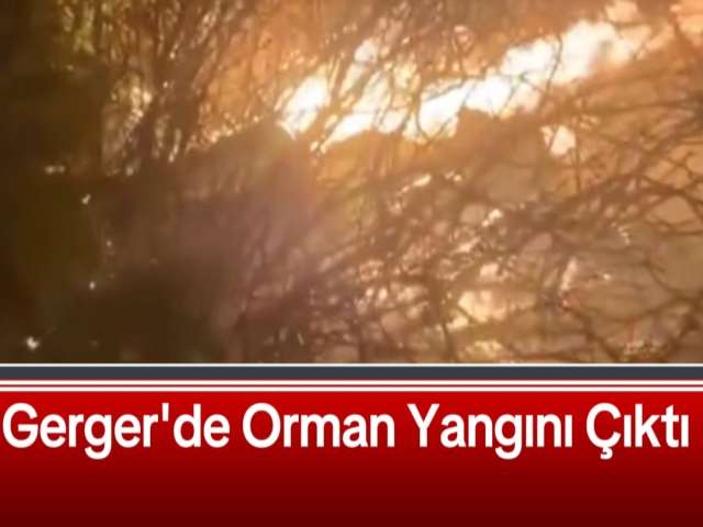 Gerger'de Orman Yangını