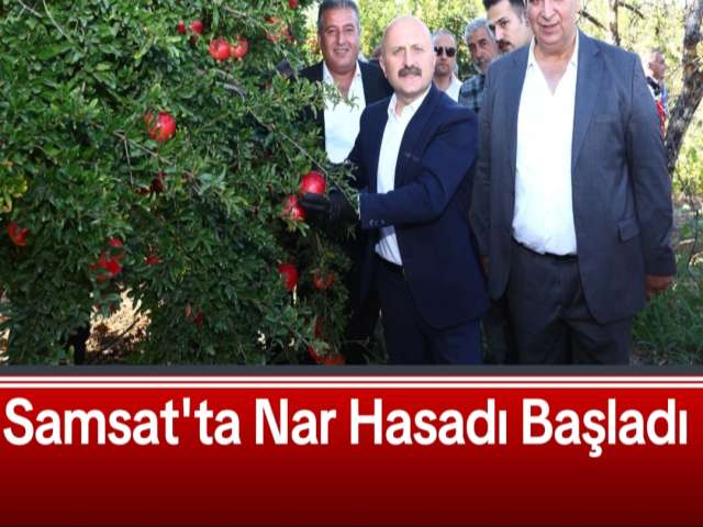 Samsat'ta Nar Hasadı Başladı