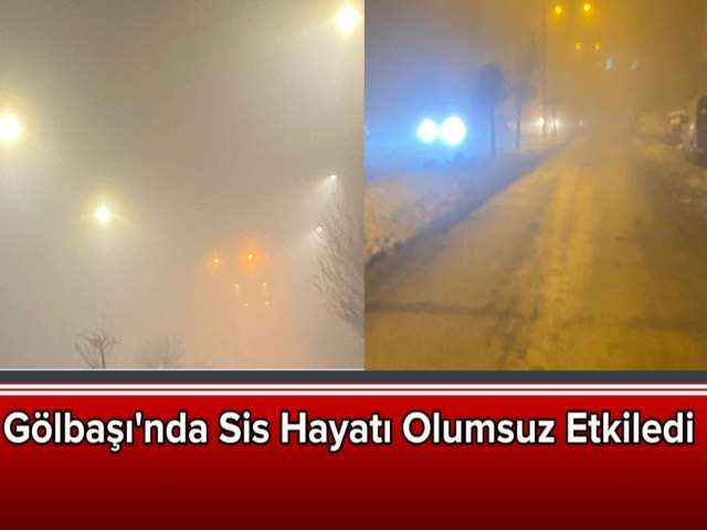 Gölbaşı'nda Sis Etkili Oldu