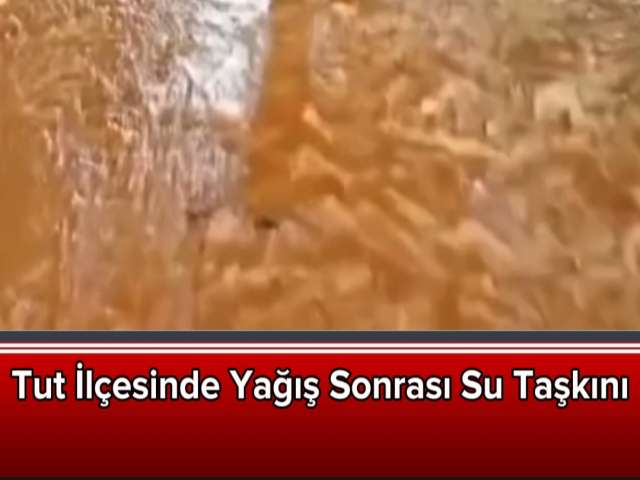 Tut'da Su Taşkını