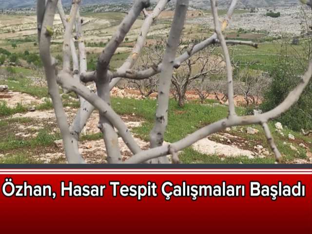 Özhan, Hasar Tespit Çalışmaları Başladı