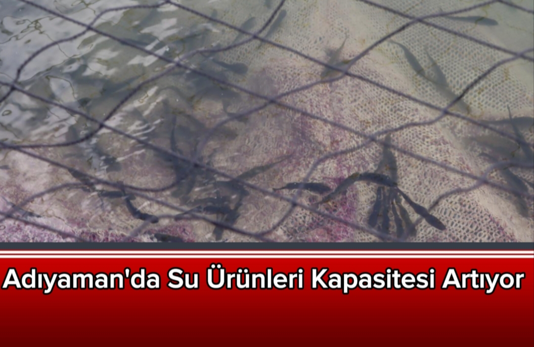 Adıyaman'da Su Ürünleri Kapasitesi Artıyor