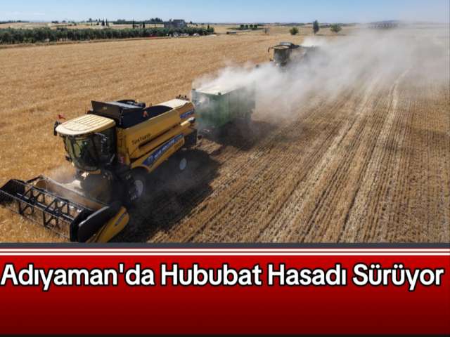 Adıyaman'da Hububat Hasadı Sürüyor