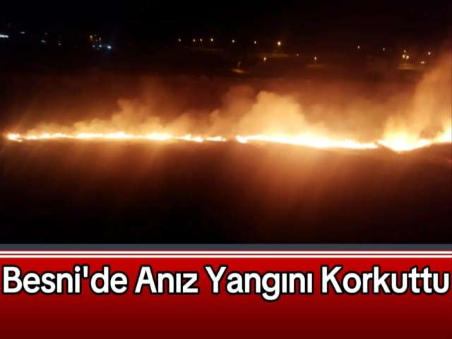 Besni'de Anız Yangını Korkuttu