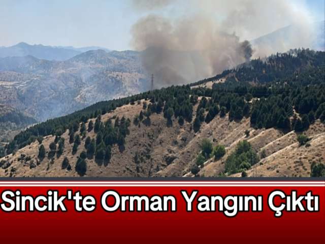 Sincik'te Orman Yangını Çıktı