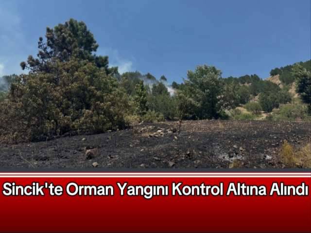 Sincik'te Orman Yangını Kontrol Altına Alındı