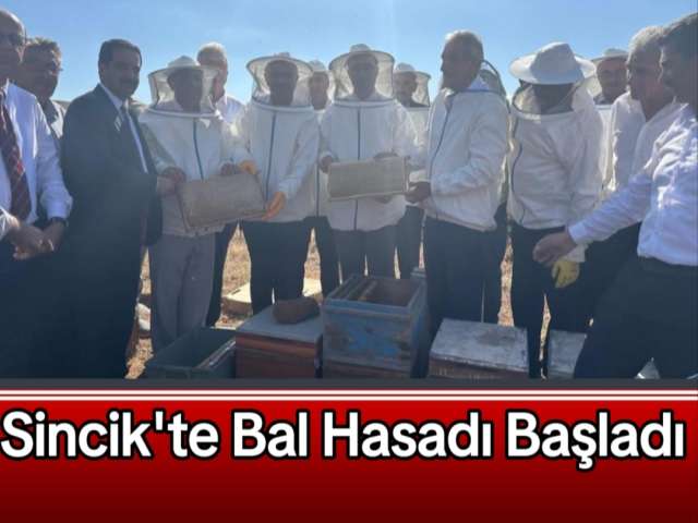 Sincik'te Bal Hasadı Başladı