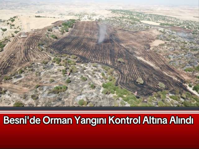 Orman Yangını Kontrol Altına Alındı
